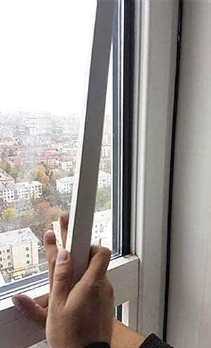 Зимний сад